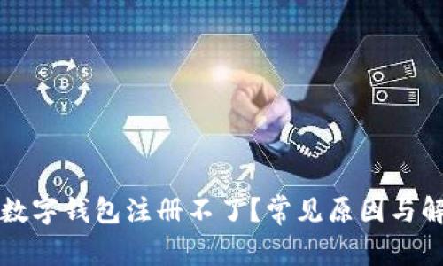 為什么數(shù)字錢包注冊(cè)不了？常見原因與解決方案