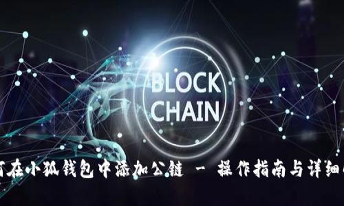 如何在小狐錢包中添加公鏈 - 操作指南與詳細(xì)解析