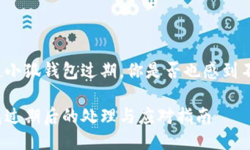 每當(dāng)提起小狐錢(qián)包過(guò)期，你是否也感到不知所措？

小狐錢(qián)包過(guò)期后的處理與應(yīng)對(duì)指南