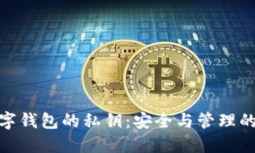 : 數(shù)字錢包的私鑰:安全與管理的核心