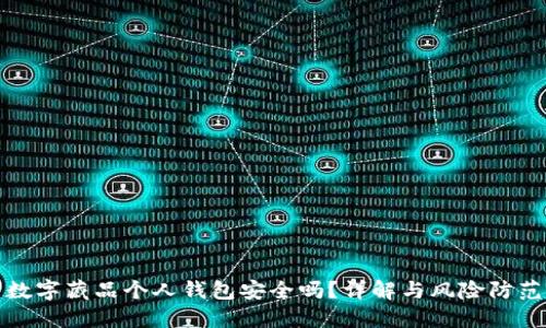 數(shù)字藏品個人錢包安全嗎？詳解與風險防范
