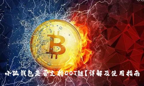 小狐錢包是否支持DOT鏈？詳解及使用指南