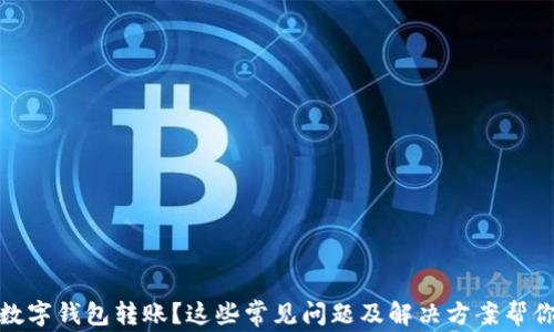 
沒有收到數(shù)字錢包轉(zhuǎn)賬？這些常見問題及解決方案幫你找回資金