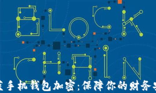 魅藍(lán)手機(jī)錢(qián)包加密:保障你的財(cái)務(wù)安全