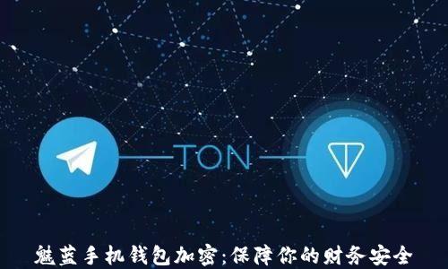 魅藍(lán)手機(jī)錢(qián)包加密:保障你的財(cái)務(wù)安全