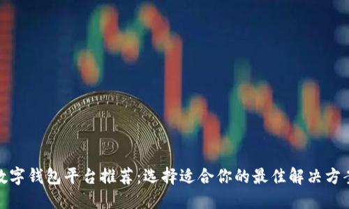 數(shù)字錢包平臺推薦:選擇適合你的最佳解決方案