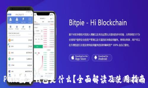   
Puls數(shù)字錢包是什么？全面解讀及使用指南