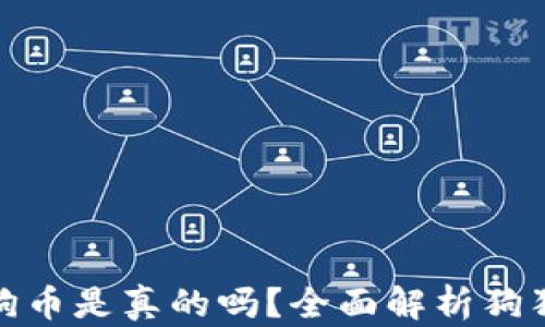 
小狐錢包存狗狗幣是真的嗎？全面解析狗狗幣存儲(chǔ)安全性