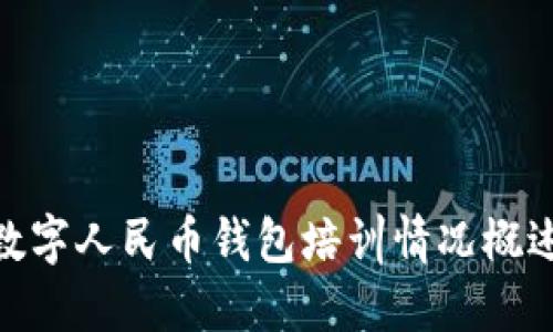 數字人民幣錢包培訓情況概述