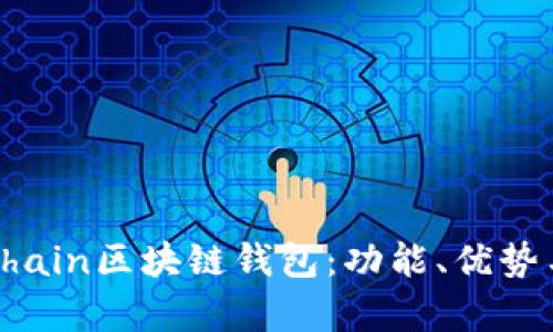 全面解析Chain區(qū)塊鏈錢包：功能、優(yōu)勢與應(yīng)用場景