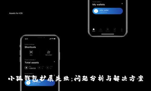 小狐錢包擴(kuò)展失?。簡栴}分析與解決方案