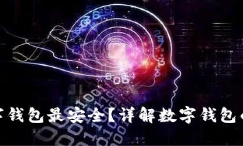 哪種數(shù)字錢包最安全？詳解數(shù)字錢包的安全性