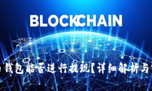 加密貨幣錢(qián)包能否進(jìn)行提現(xiàn)？詳細(xì)解析與實(shí)用指南
