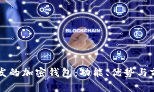 國內開發(fā)的加密錢包：功能、優(yōu)勢與前景分析