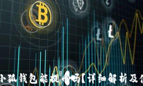 
中本聰小狐錢包能提幣嗎？詳細(xì)解析及使用指南