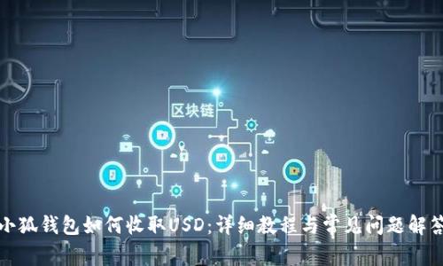 小狐錢包如何收取USD：詳細(xì)教程與常見問(wèn)題解答