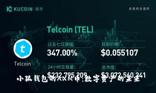 小狐錢包的AXM幣：數(shù)字資產(chǎn)的未來