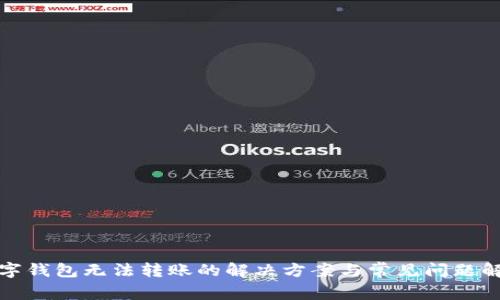 數(shù)字錢包無(wú)法轉(zhuǎn)賬的解決方案與常見問(wèn)題解析