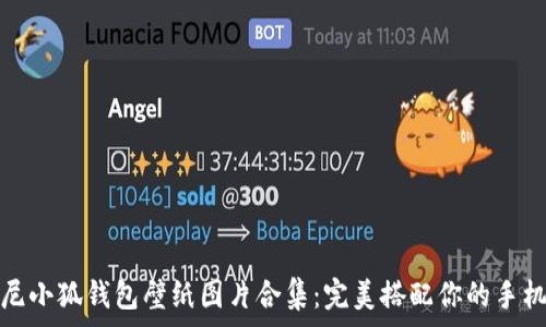   
迪士尼小狐錢包壁紙圖片合集：完美搭配你的手機(jī)屏幕