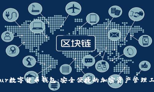Blur數字貨幣錢包:安全便捷的加密資產管理工具