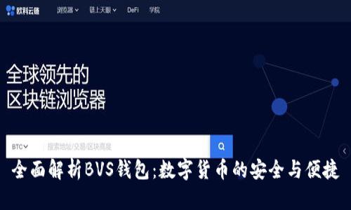全面解析BVS錢包:數(shù)字貨幣的安全與便捷