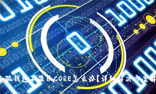  小狐錢(qián)包不顯示CORE怎么辦？詳細(xì)解決方案解析