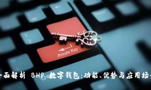 全面解析 BHP 數(shù)字錢包：功能、優(yōu)勢與應(yīng)用場景