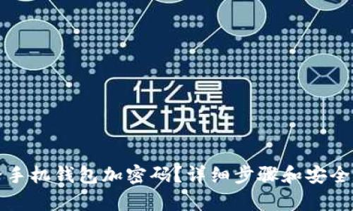 如何給手機錢包加密碼？詳細步驟和安全性分析