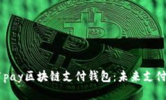 全面解析21pay區(qū)塊鏈支付錢(qián)