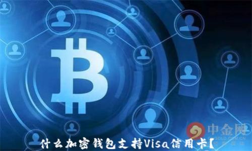 
什么加密錢包支持Visa信用卡？
