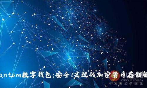 探索Phantom數(shù)字錢包：安全、高效的加密貨幣存儲解決方案