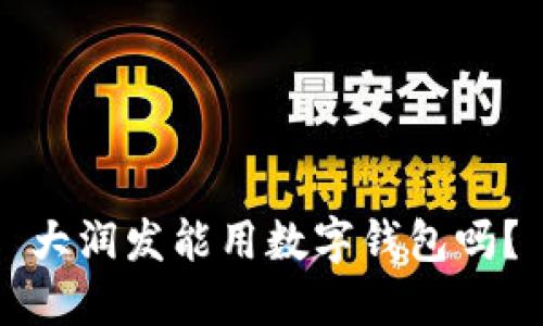 大潤發(fā)能用數(shù)字錢包嗎?