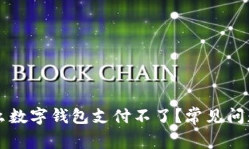 為什么數字錢包支付不了？常見問題解析