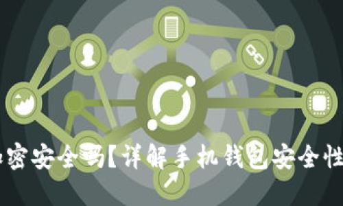 手機錢包加密安全嗎？詳解手機錢包安全性的方方面面