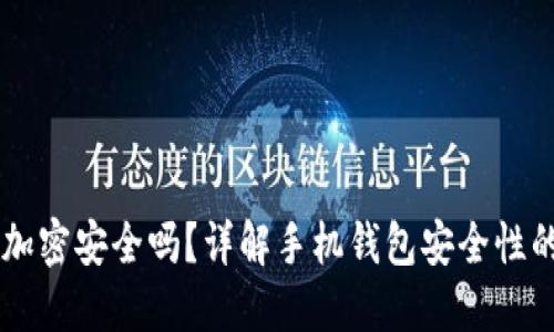 手機錢包加密安全嗎？詳解手機錢包安全性的方方面面