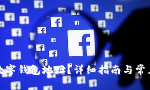 如何設(shè)置數(shù)字錢(qián)包地址？詳細(xì)指南與常見(jiàn)問(wèn)題解答