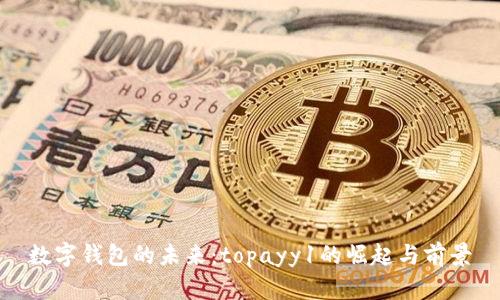 數(shù)字錢包的未來:topayy1的崛起與前景