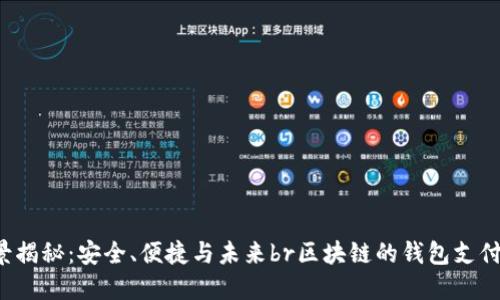 區(qū)塊鏈錢包支付的全景揭秘：安全、便捷與未來br區(qū)塊鏈的錢包支付：安全與便捷的未來br