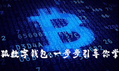 和關(guān)鍵詞

如何創(chuàng)建小狐數(shù)字錢包：一步步引導你掌控數(shù)字資產(chǎn)