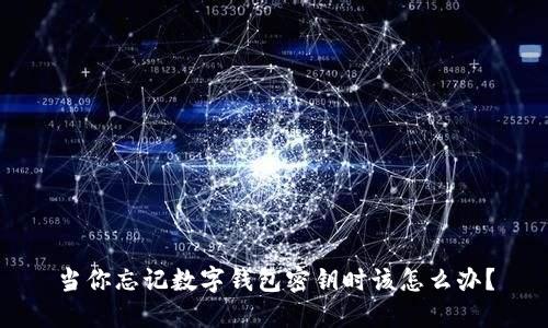 當(dāng)你忘記數(shù)字錢包密鑰時該怎么辦？