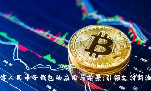 數(shù)字人民幣子錢包的應用與前景:引領支付新潮流
