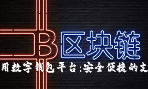 國內常用數(shù)字錢包平臺:安全便捷的支付選擇