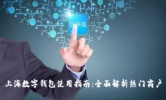 上海數(shù)字錢包使用指南：
