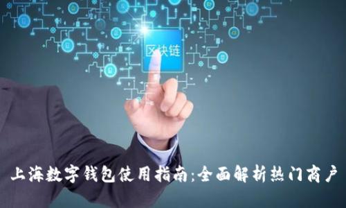 上海數(shù)字錢包使用指南：全面解析熱門商戶