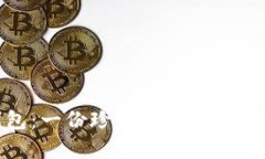 小狐的兩個錢包：一份珍