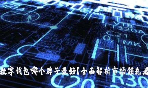 數(shù)字錢包哪個牌子最好？全面解析市場領(lǐng)先者