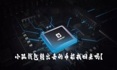 小狐錢包轉(zhuǎn)出去的幣能找