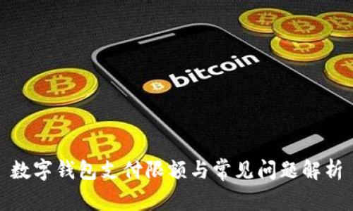 數(shù)字錢(qián)包支付限額與常見(jiàn)問(wèn)題解析