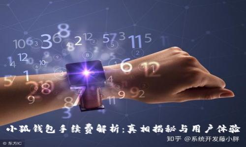 小狐錢包手續(xù)費(fèi)解析：真相揭秘與用戶體驗(yàn)