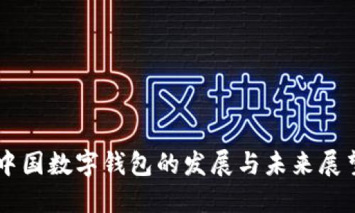 中國數(shù)字錢包的發(fā)展與未來展望